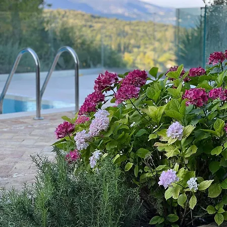 فيلة Fioraki
